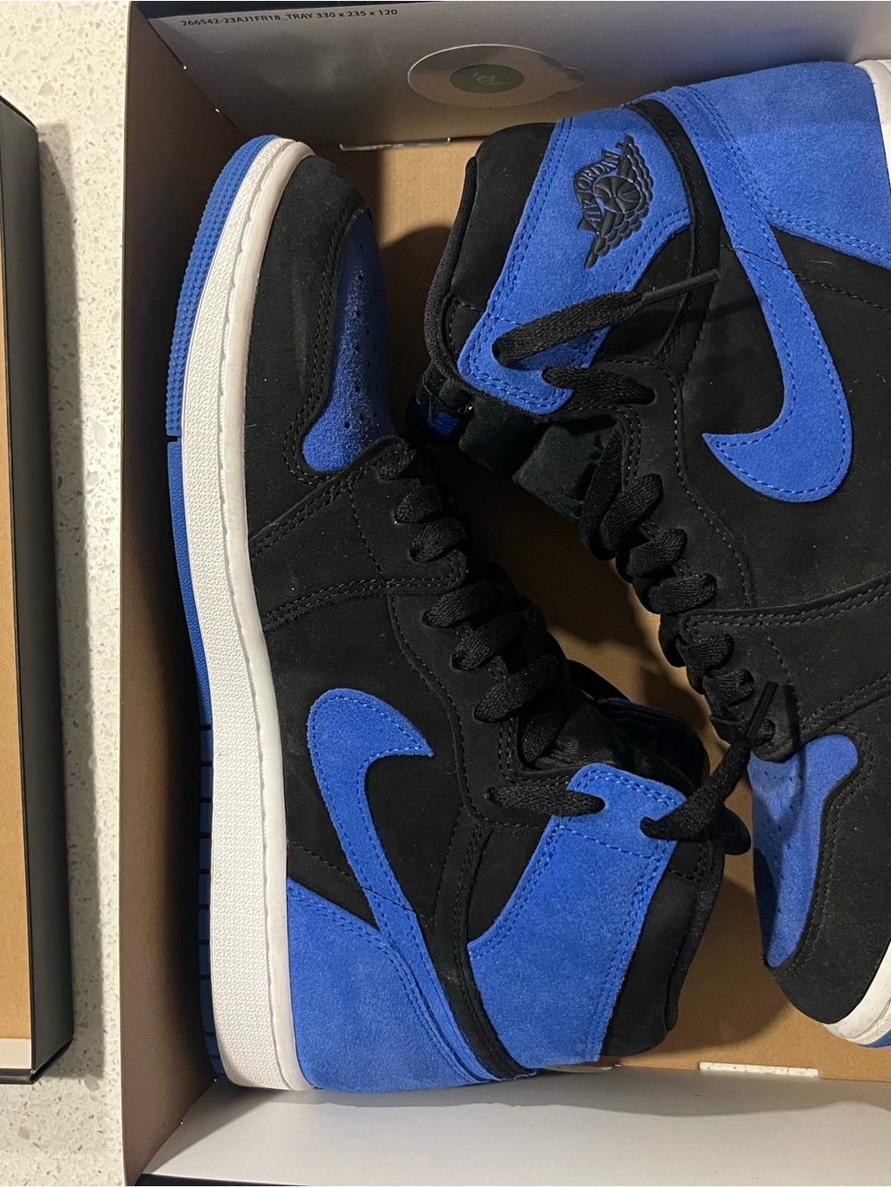 Nike Air Jordan 1 Royal Reimagined